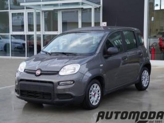 usato FIAT Panda