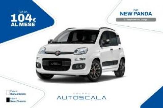 usato FIAT New Panda