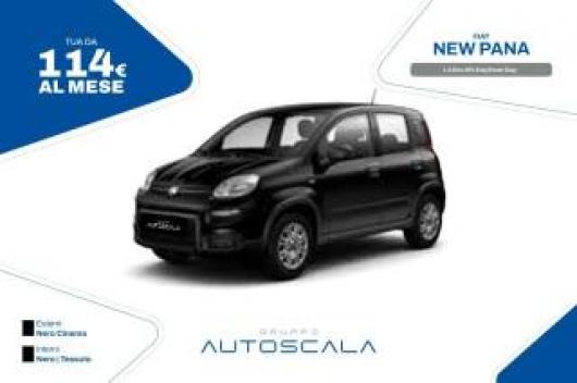 usato FIAT New Panda