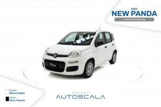 usato FIAT New Panda