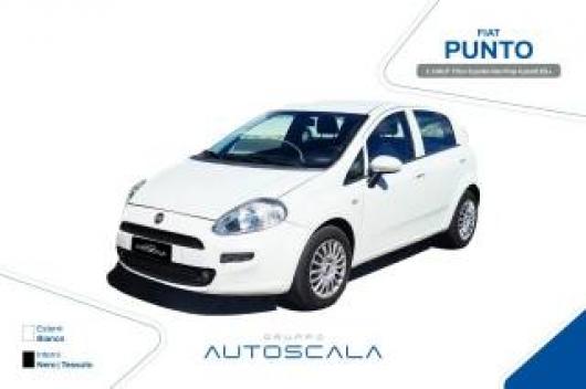 usato FIAT Punto