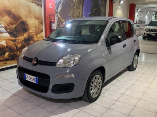 usato FIAT Panda