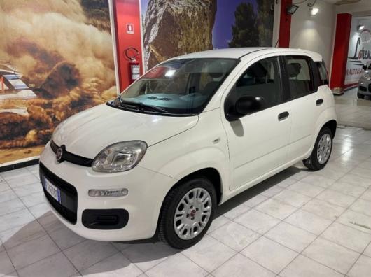 usato FIAT Panda