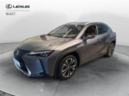 usato LEXUS UX 250h