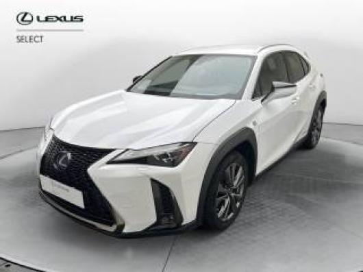 usato LEXUS UX 250h