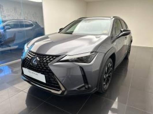 usato LEXUS UX 250h