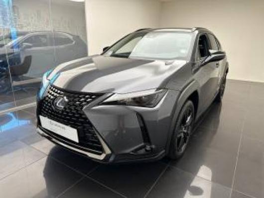 usato LEXUS UX 250h