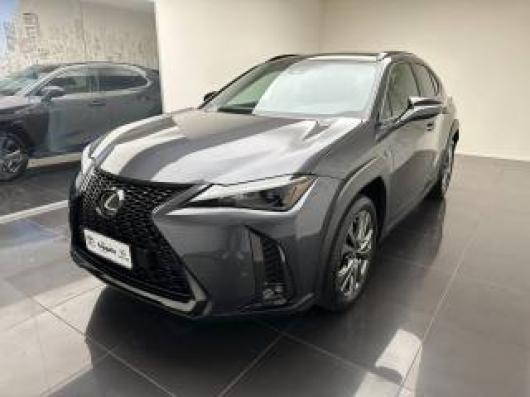 usato LEXUS UX 250h