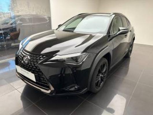 usato LEXUS UX 250h