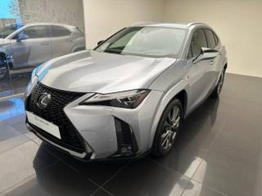 usato LEXUS UX 250h