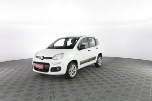 usato FIAT Panda