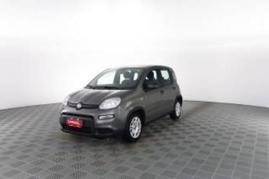 usato FIAT Panda