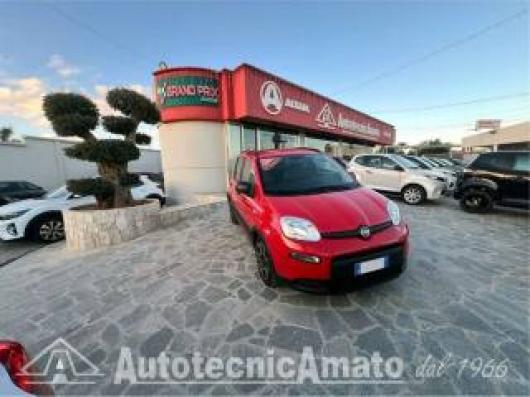 usato FIAT Panda