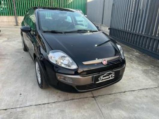 usato FIAT Punto