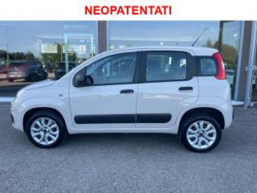 usato FIAT Panda