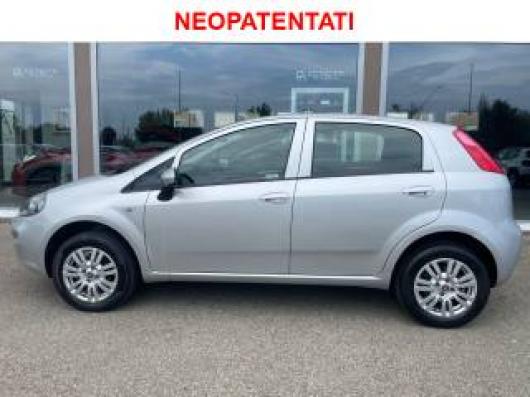 usato FIAT Punto