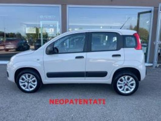 usato FIAT Panda