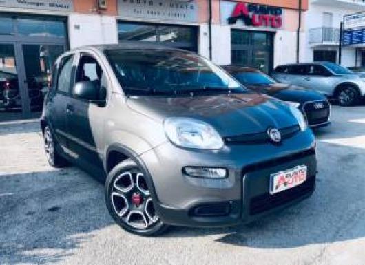 usato FIAT Panda