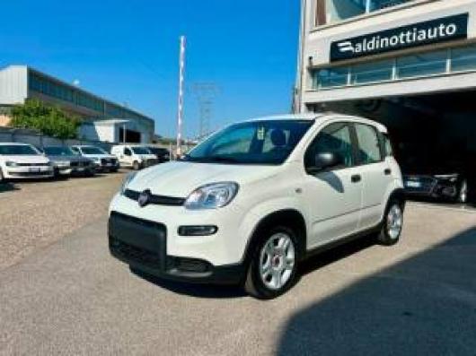 usato FIAT Panda