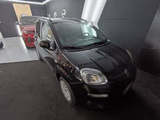 usato FIAT Panda