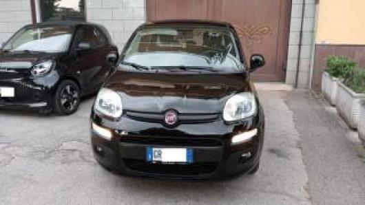 usato FIAT Panda