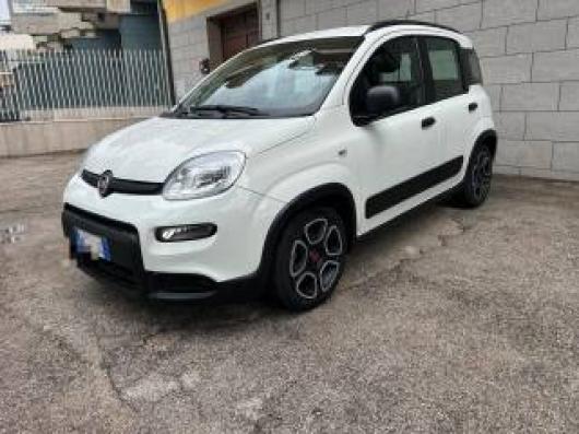 usato FIAT Panda