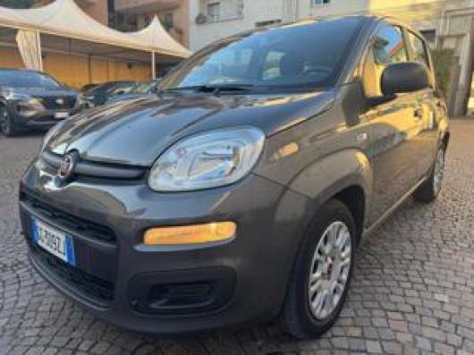 usato FIAT Panda