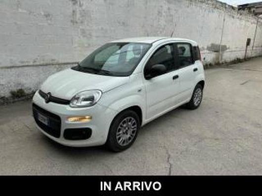 usato FIAT Panda