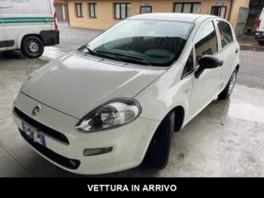 usato FIAT Punto