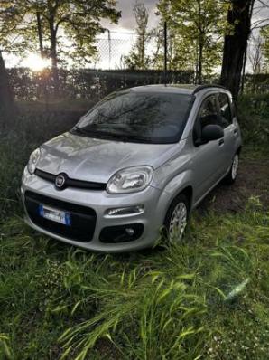 Panda