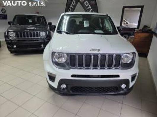 usato JEEP Renegade