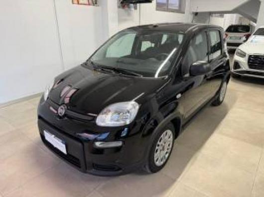 usato FIAT Panda