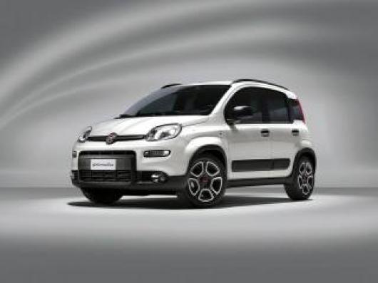 usato FIAT New Panda