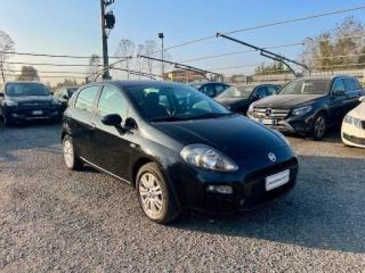 usato FIAT Punto