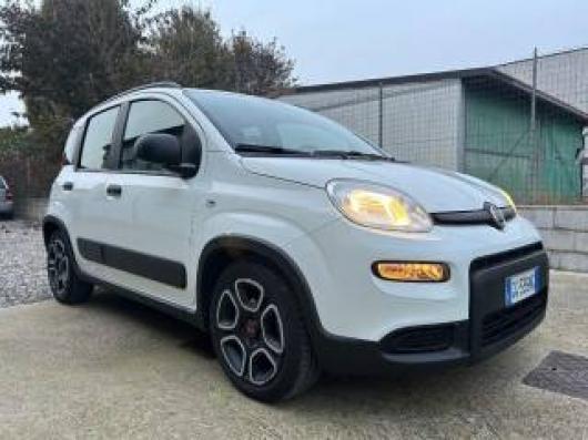 usato FIAT Panda