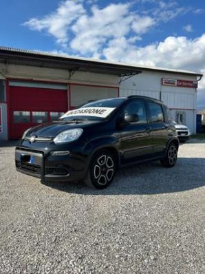 usato FIAT Panda