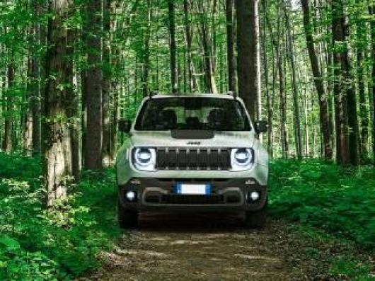 usato JEEP Renegade