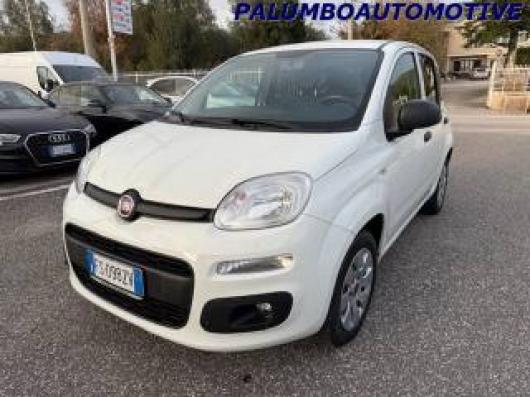 usato FIAT Panda