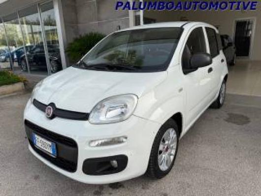 usato FIAT Panda