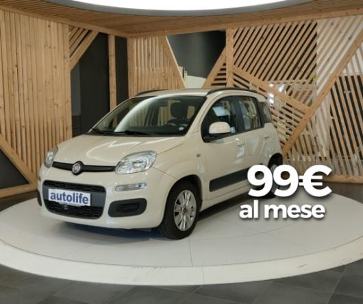 usato FIAT Panda