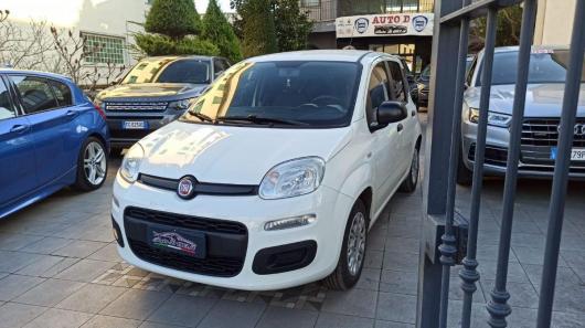 usato FIAT Panda