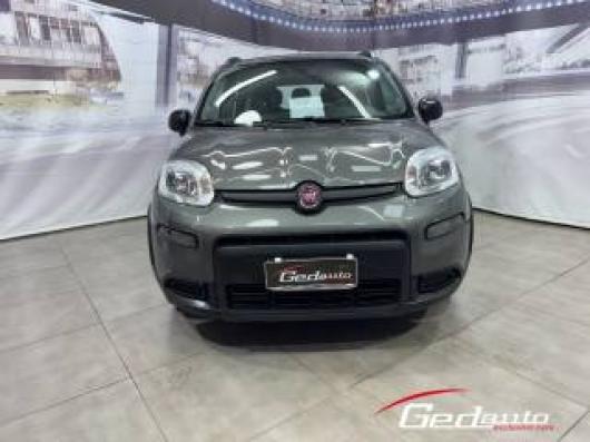 usato FIAT Panda