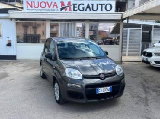 usato FIAT Panda