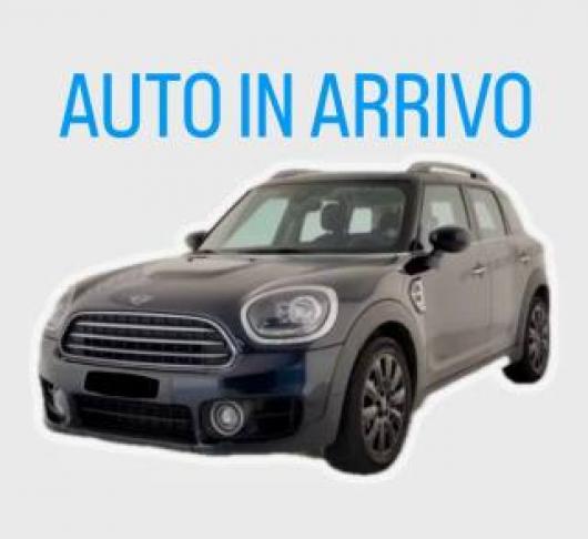 usato MINI Countryman