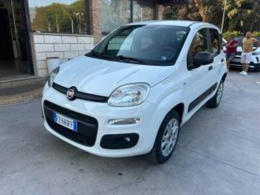 usato FIAT Panda