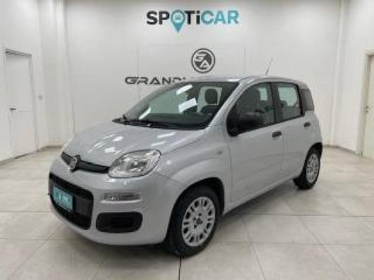 usato FIAT Panda