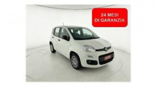 usato FIAT Panda