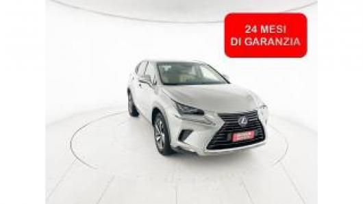 usato LEXUS NX 300