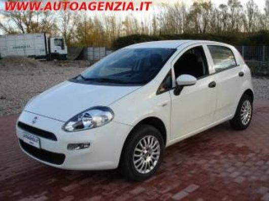 usato FIAT Punto