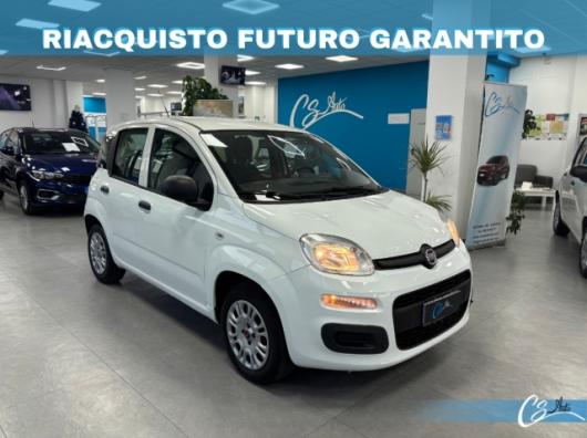 usato FIAT Panda